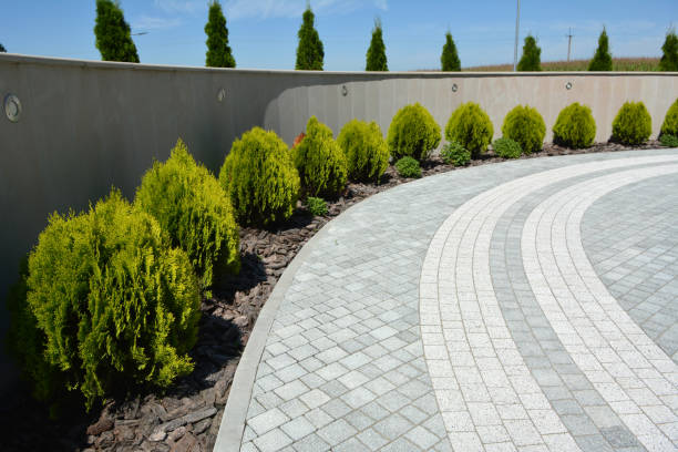 Best Driveway Pavers for Homes  in Waverly, IA